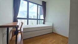 The Clement Canopy (D5), Apartment #567596521